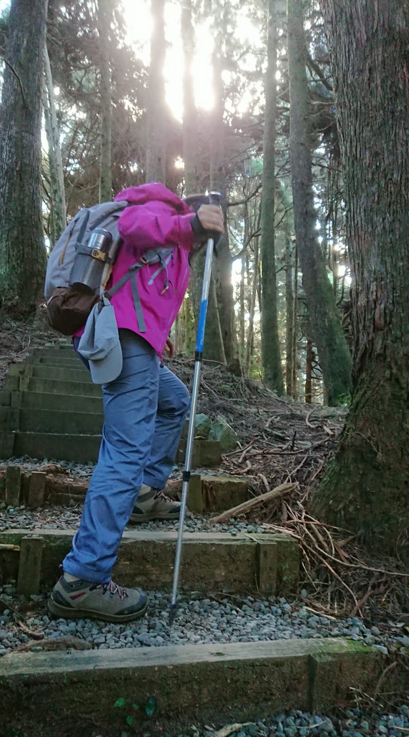 手杖（登山杖）可以作為探測高度的方式，側身下坡，可以使身體更穩定。
