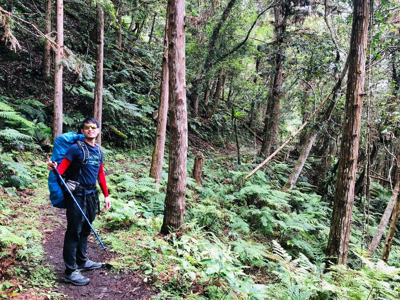 �@�̬D�ԥ˩Ԧ̨B�D�C