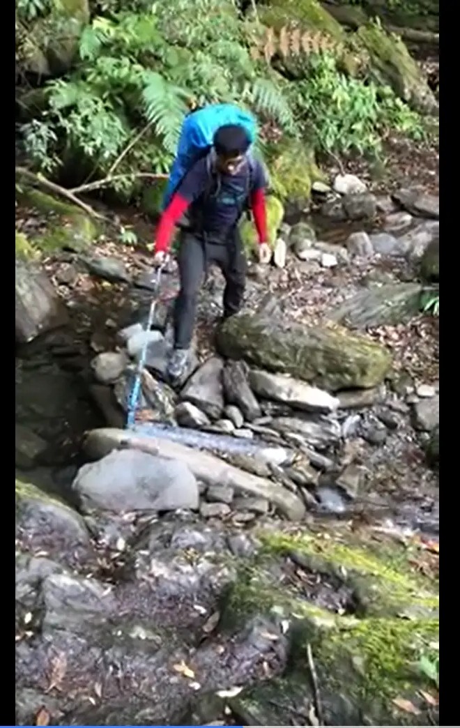 �B�D�ˤ��h�A��i���o�p���l�l�C