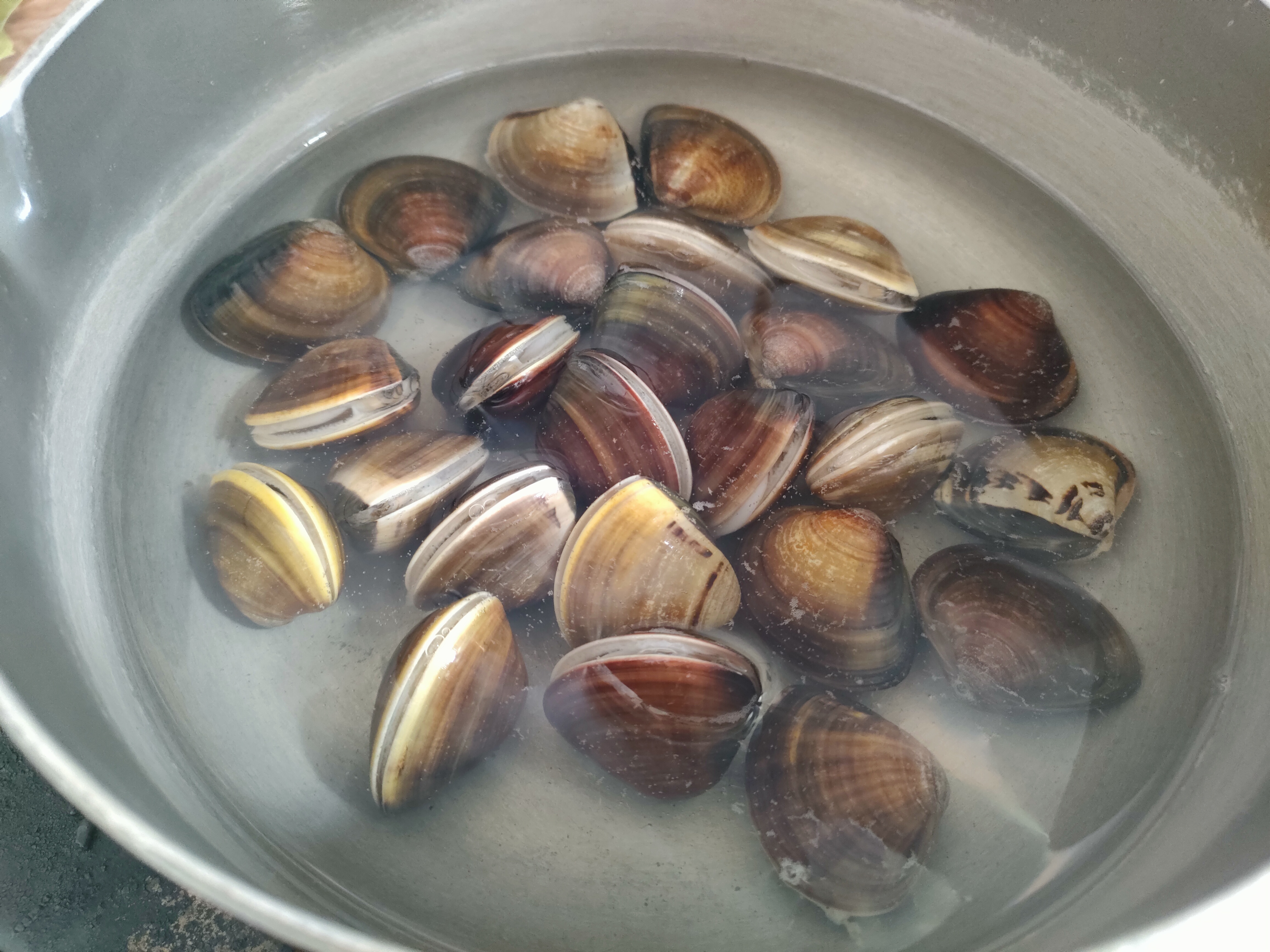 ��Īw�b�Ť����R�F�C