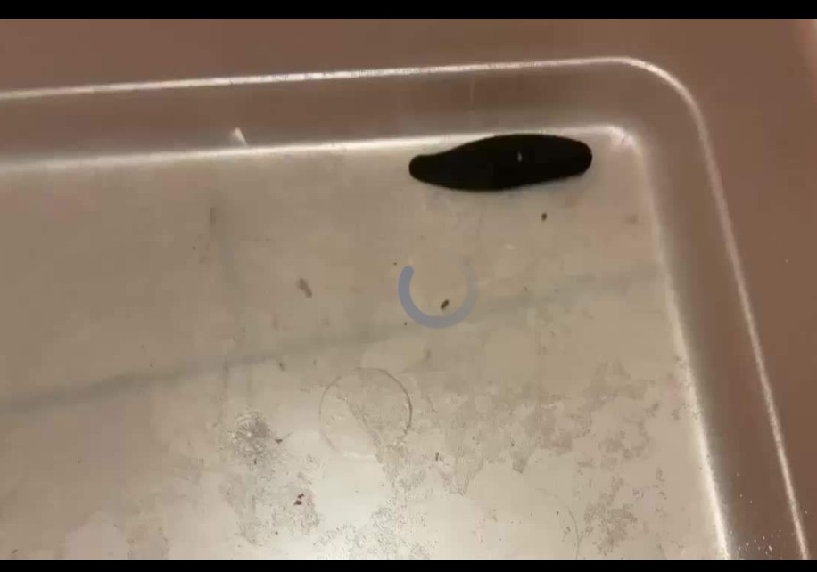 �¦�p�Ǫ��C