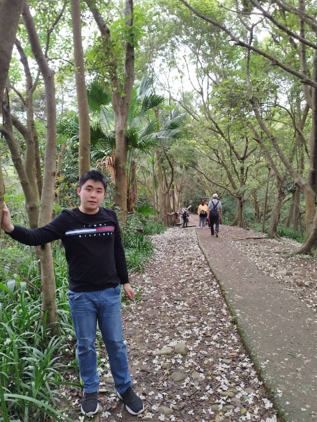 �g���@�˥h���Y�s�����A�s�W�w�Q�F�@����᪺���ժ�D�C