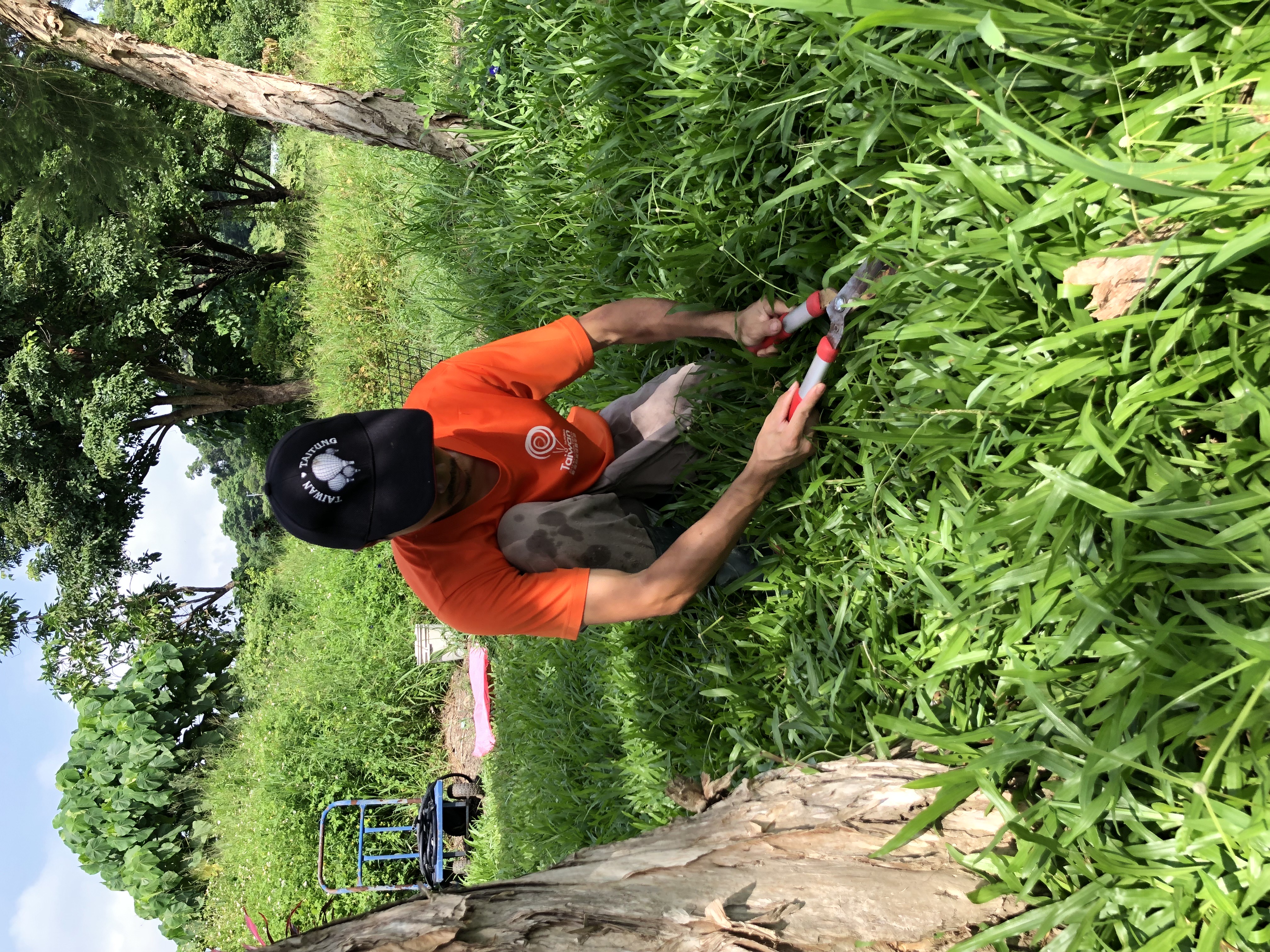 �|���b�A�a�ů�C