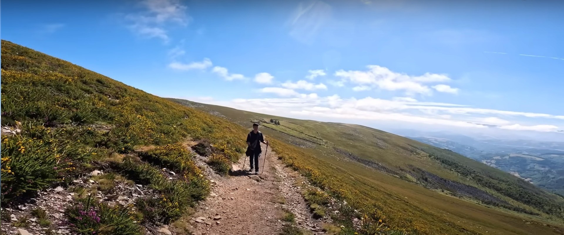 ���g���|��ǡA���ۺ�⪺����M�Ŧ⪺�g�[�A�]��t�����X�~�H���O�a�V�C