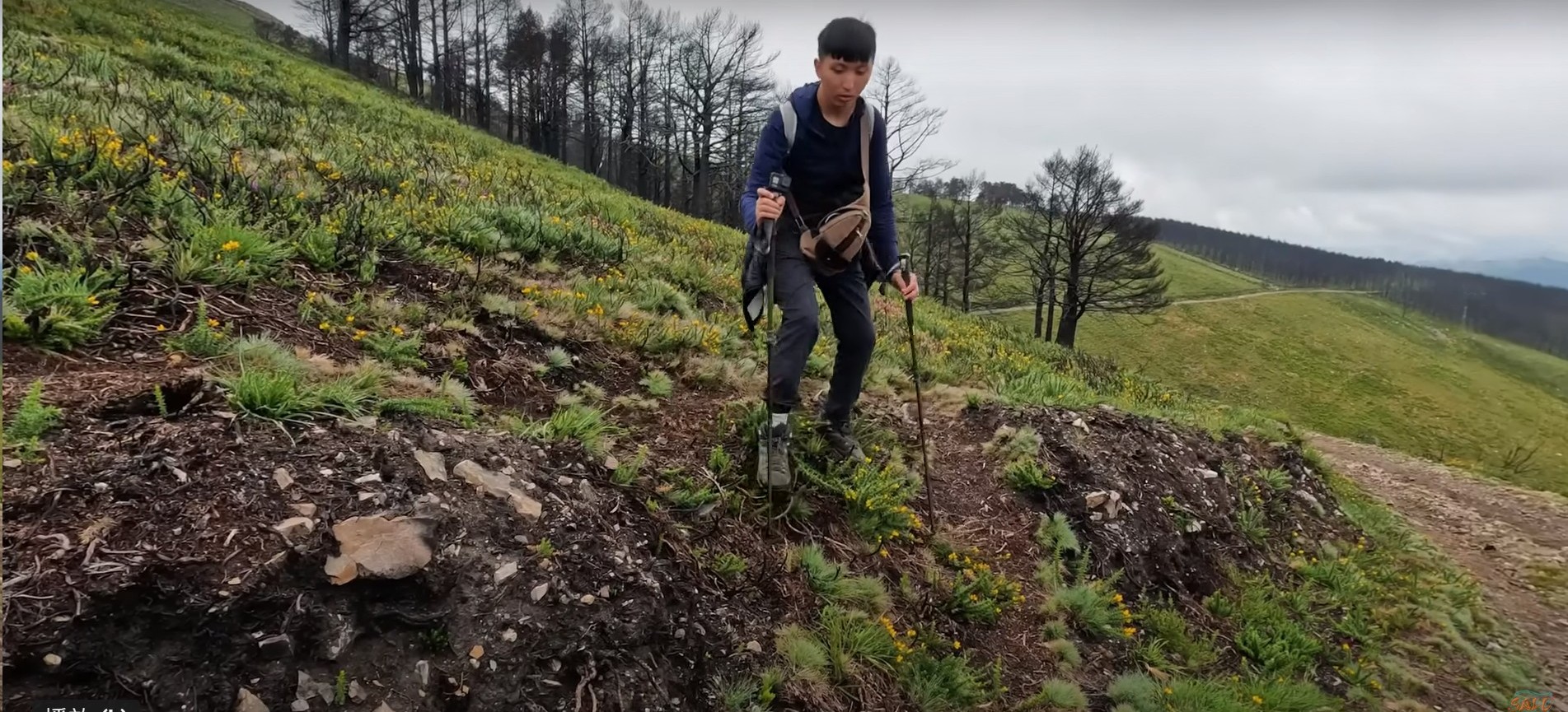 ���X�|�B���}�C