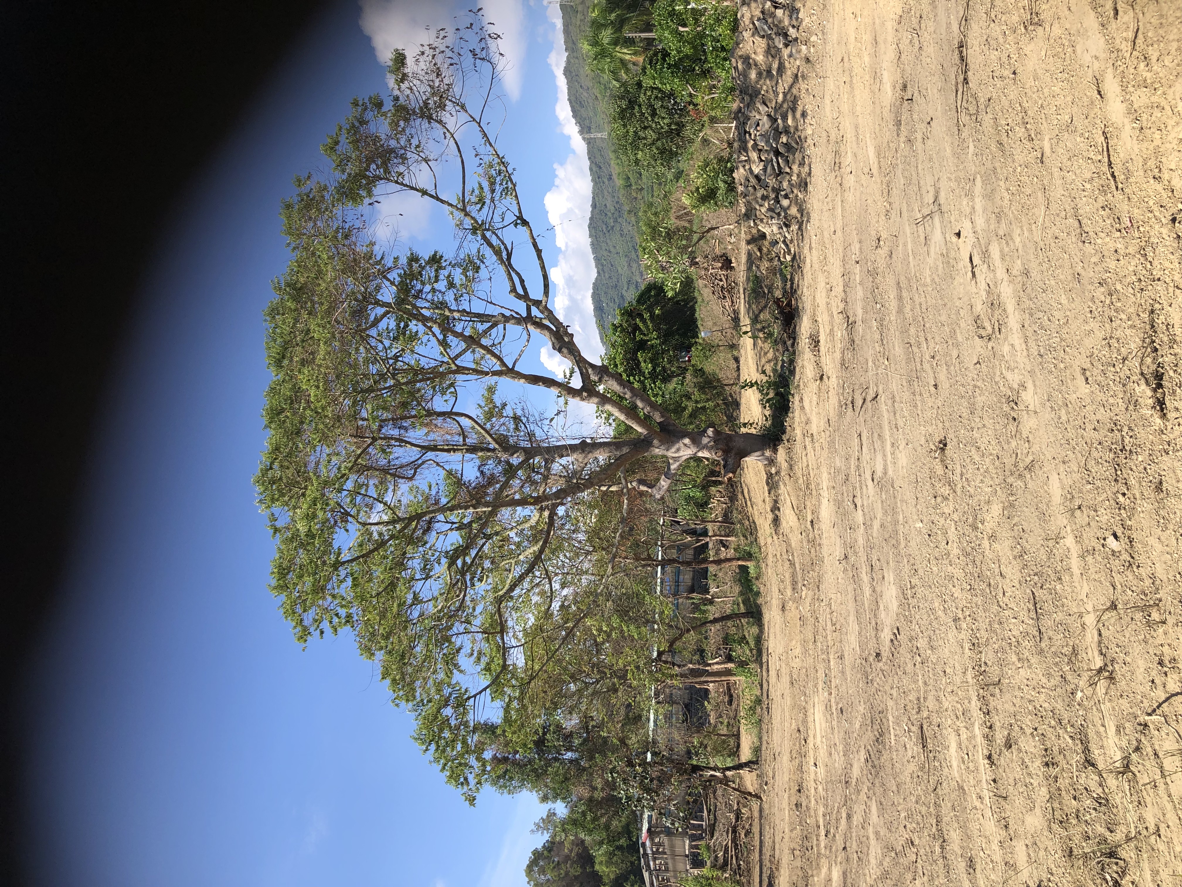 ��~���@�ʤj��C