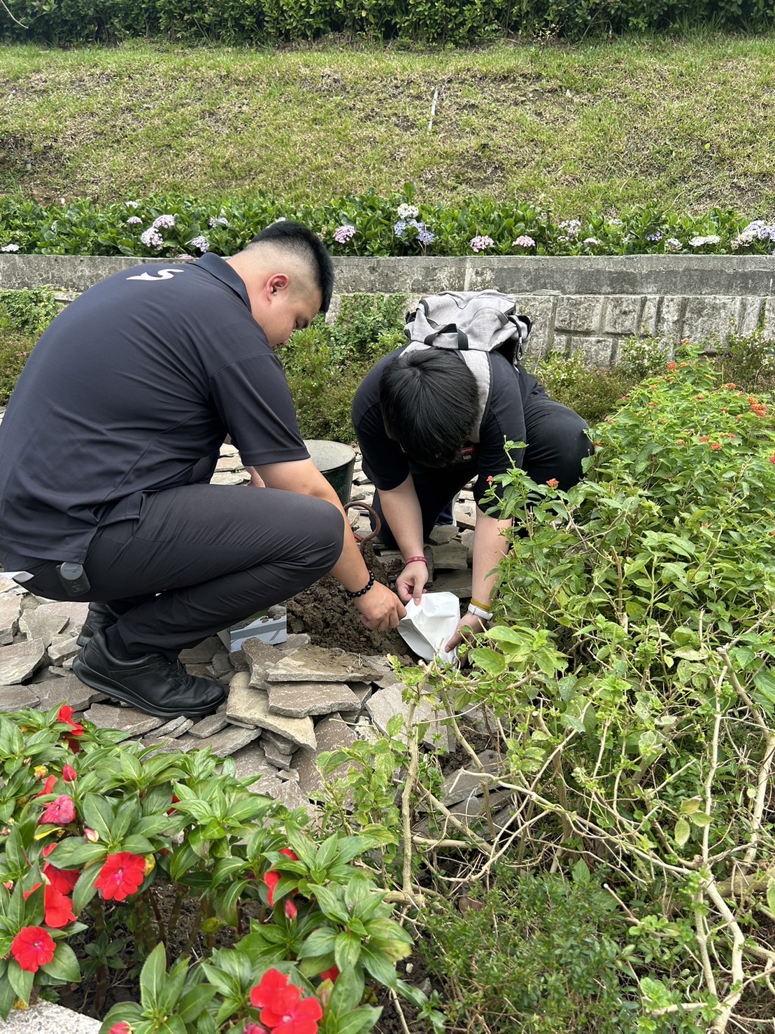 ���R�����ǮI�i�g�̡A�Ƨ@�K�d�C