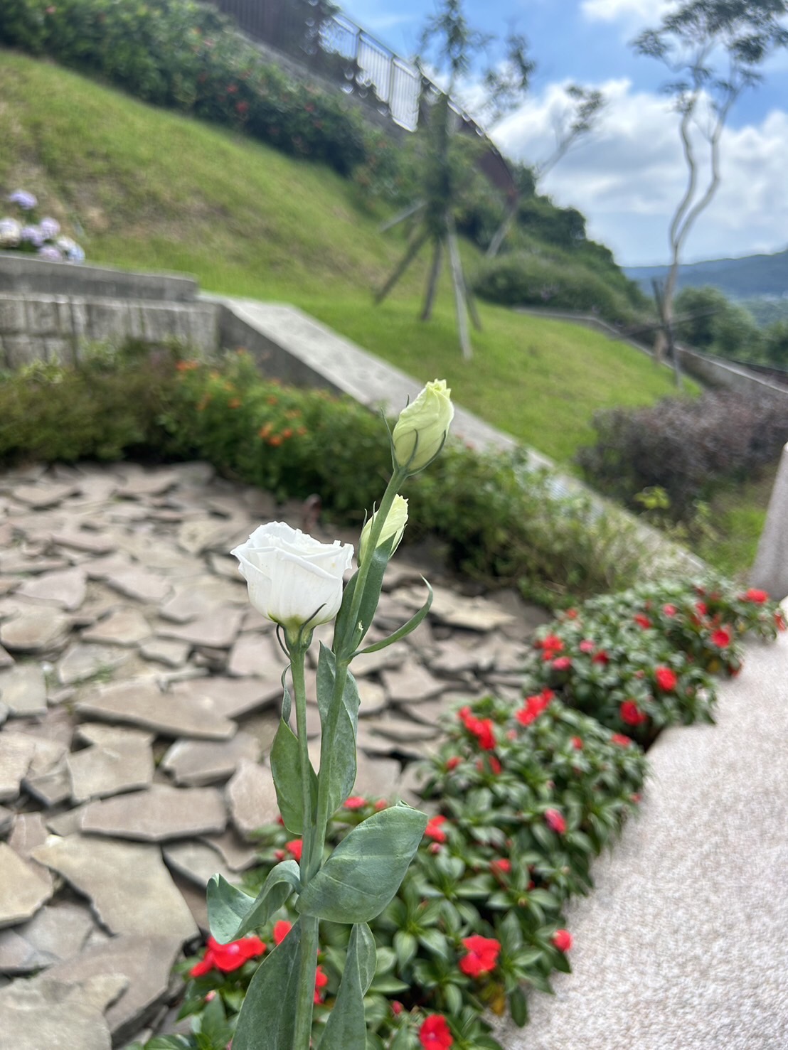 �@���R�w���C