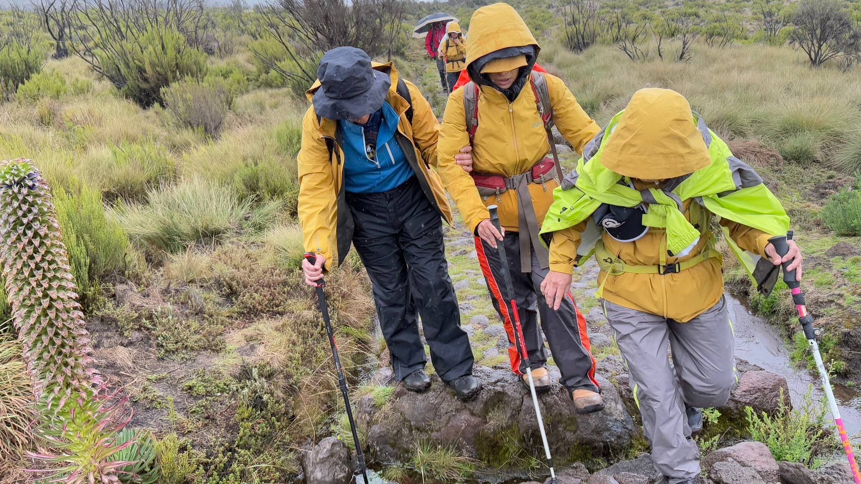 ����޾ɵ��٪̮ɡA�Ӥu�|�ƥ��i���������e�סA�H�K�w����L�C���i���f�k��ҫ����n�s���O�o���������A�@�̧ߵۦo���k��A�Ϧӭ���o����ʡC