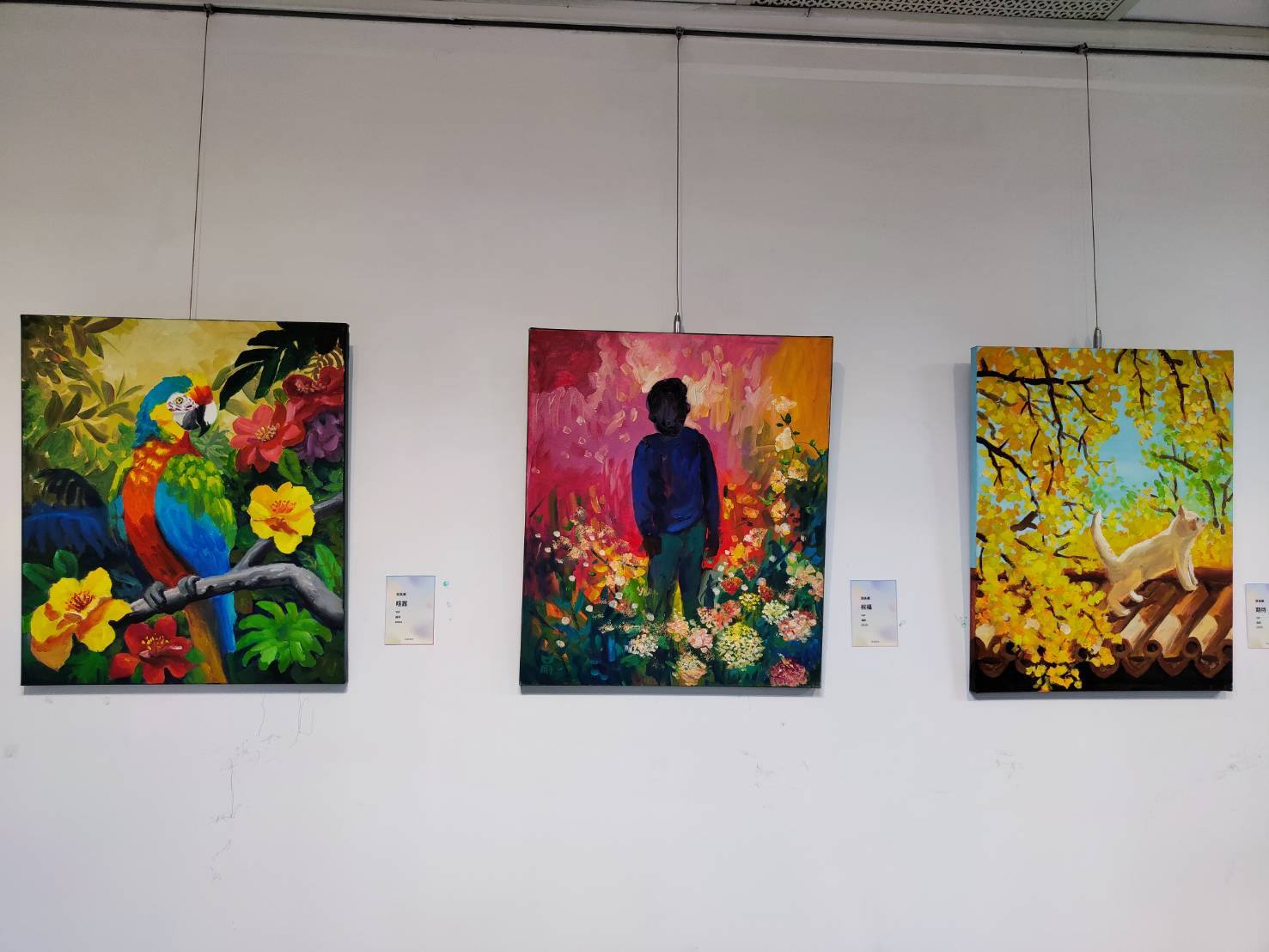 �@�̰Ѯi���T�T�e�C