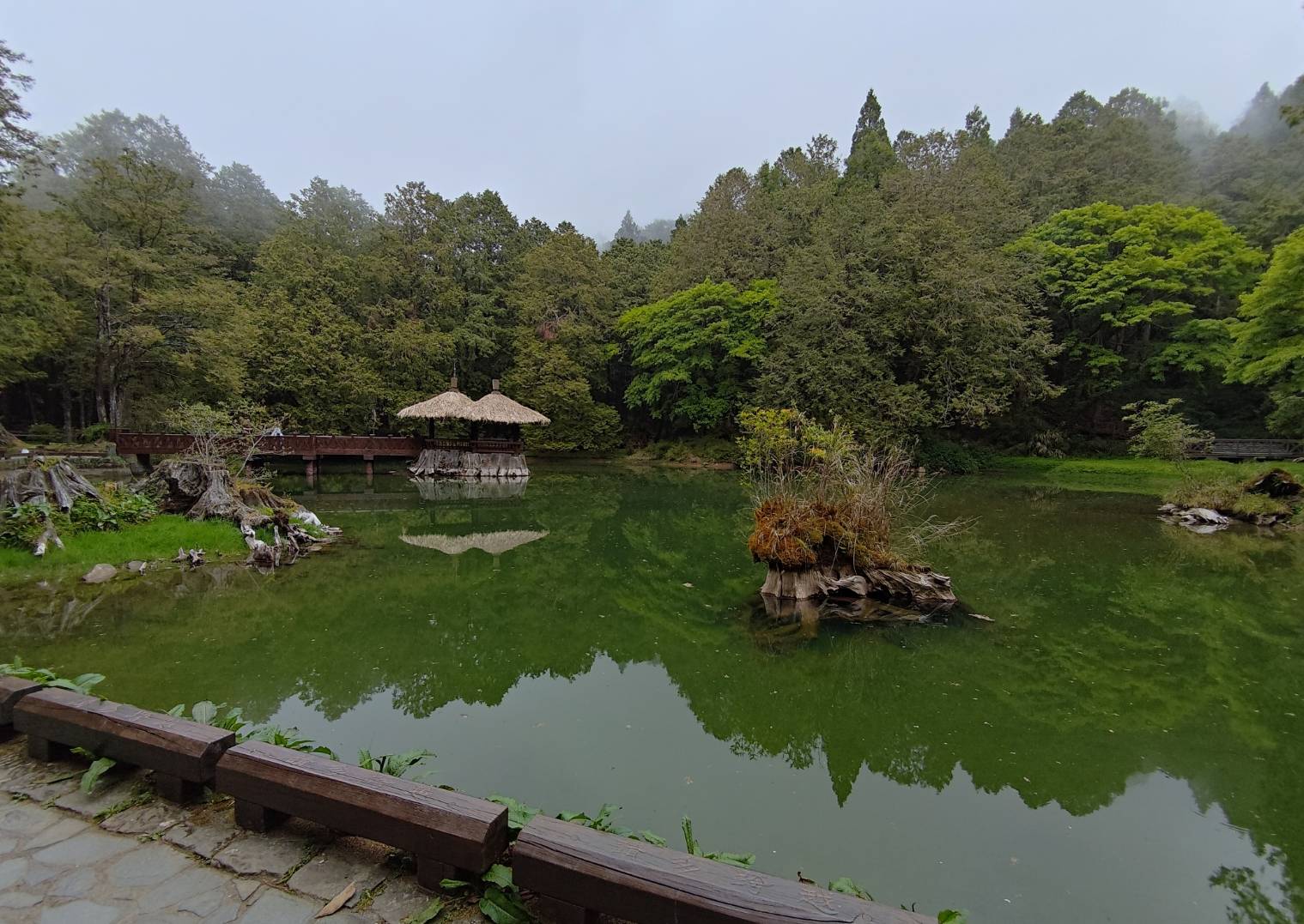 �n�f�檺�u�n�n�v�C