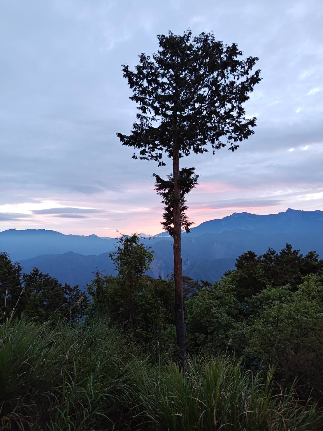 ���s�[��X�A�u�����h�z�S��������O�S����X�I