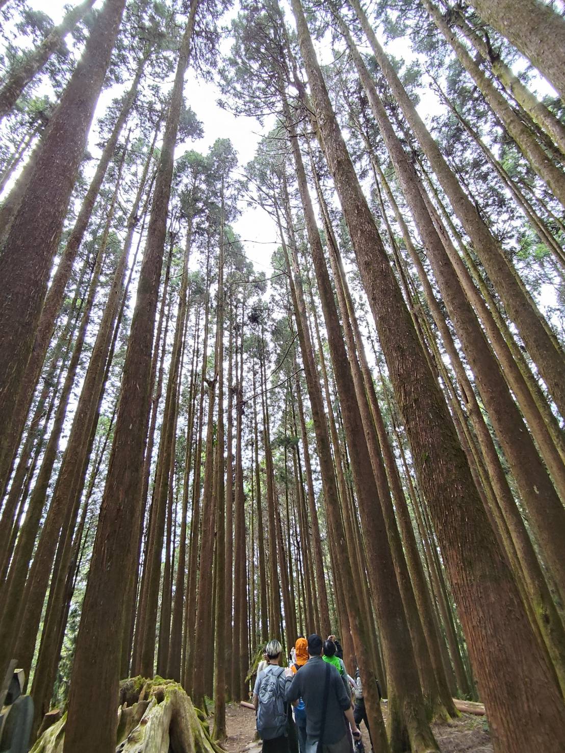 �ѥ[���ʪ��έ��̸�۾����Ѯv�A�B��b�Ѥѥ��쪺�˪L���C