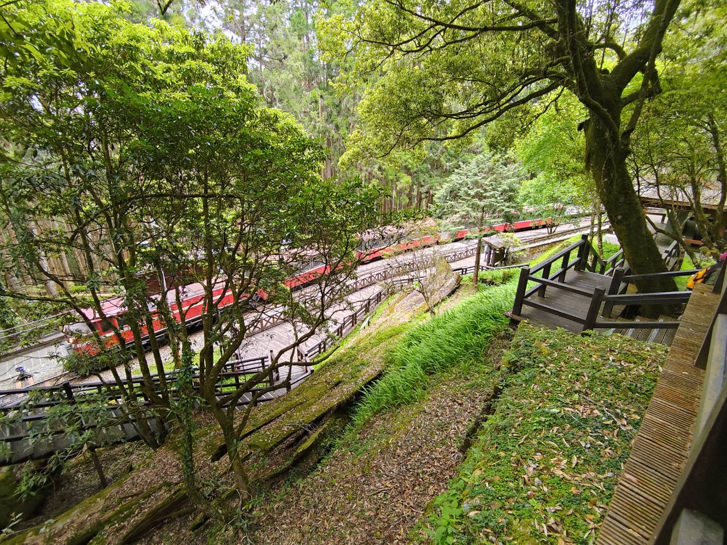 �˪L���q���쯸�}�������s���p�����C���⪺�����b��⪺�˪L���S�O�G���I