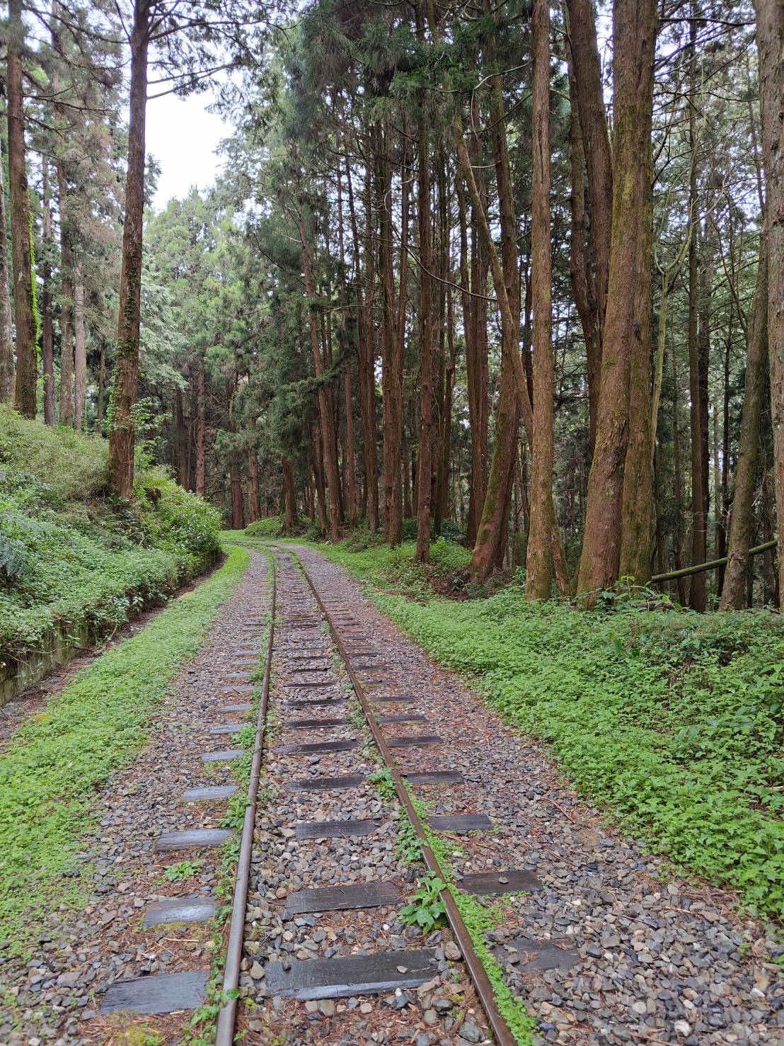 �q�e�����K���{�b�O���s��¡�B�D�C�K�D�b�s�L���A�H�̥i�H�j�誺���b�K�D�W�C