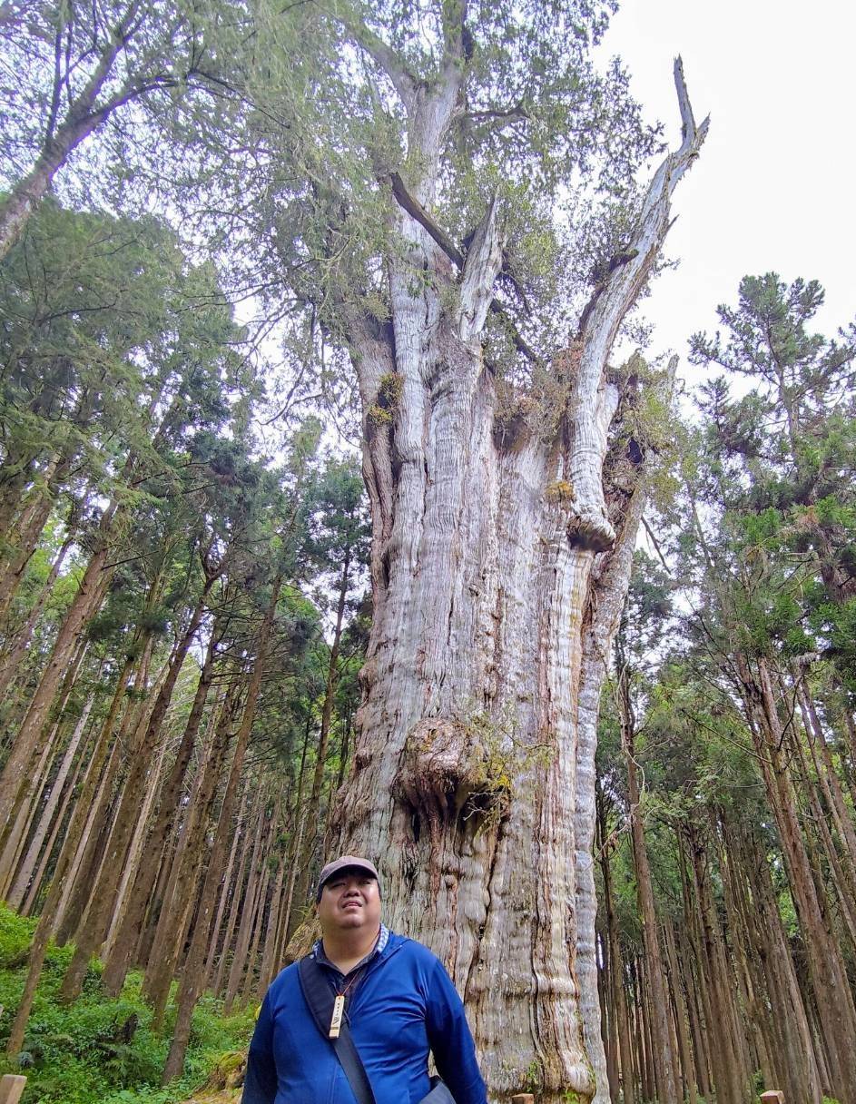 �@�̻P�d�~���s����X�v�C