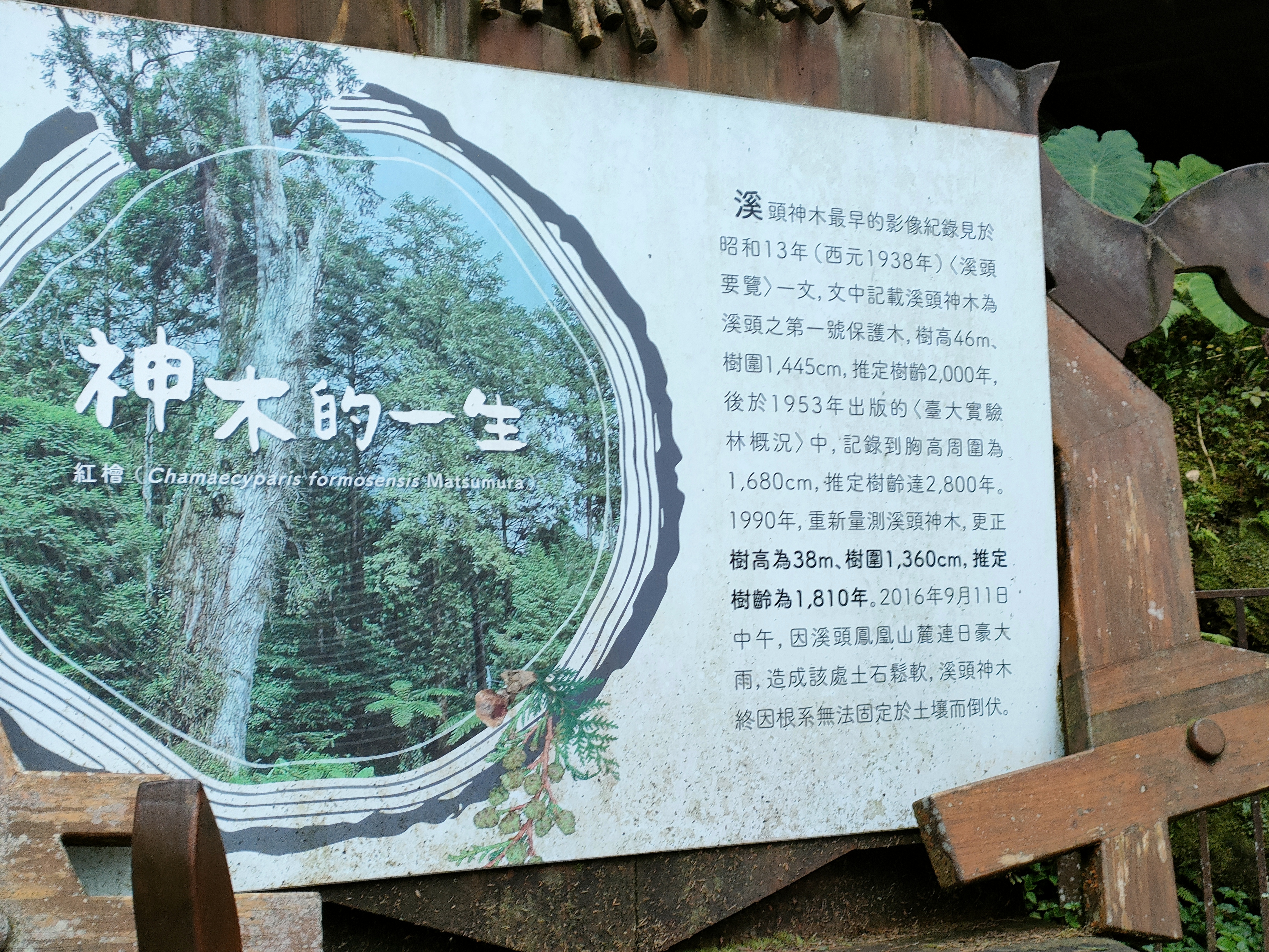 �u���쪺�@�͡v���s�ͧ�F�ѷ��Y�C