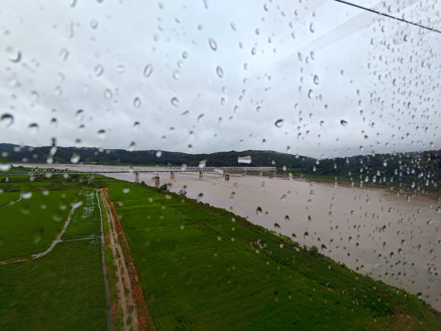 �q�L�{�z�����l���W�A�j�B���̵}�i�������B�e�����W�d���Q�����¾����C