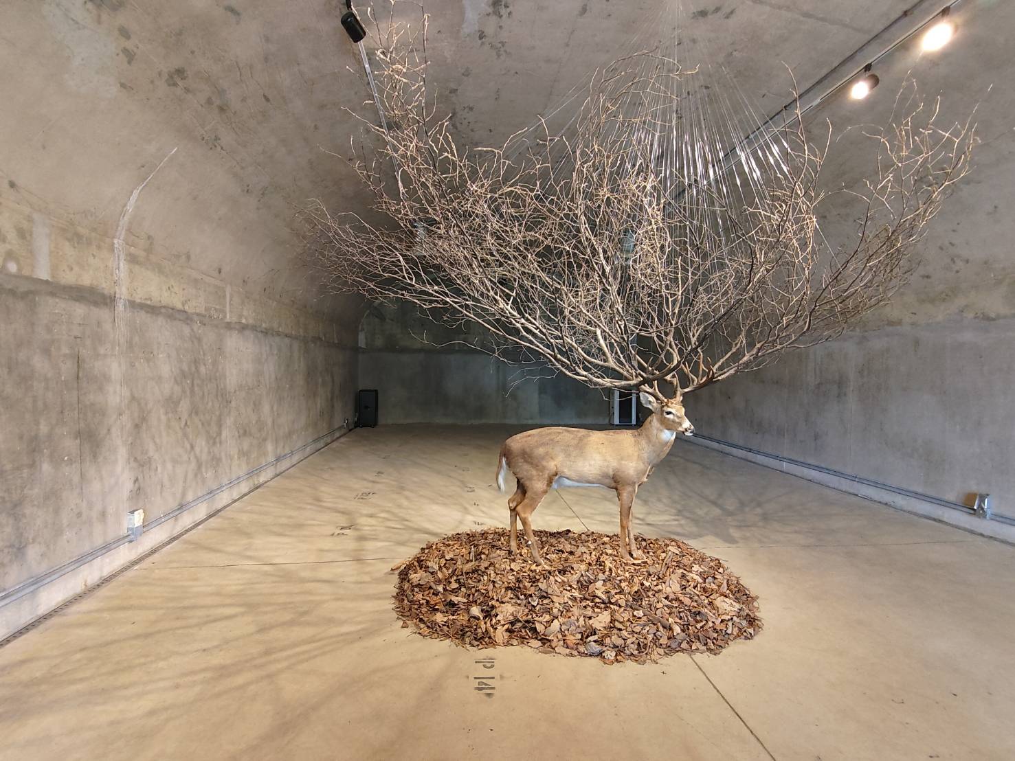 �ª����x��ϼu�Įw�̪����N�@�~�C�H�x�M���P����ͥͤ�����������C