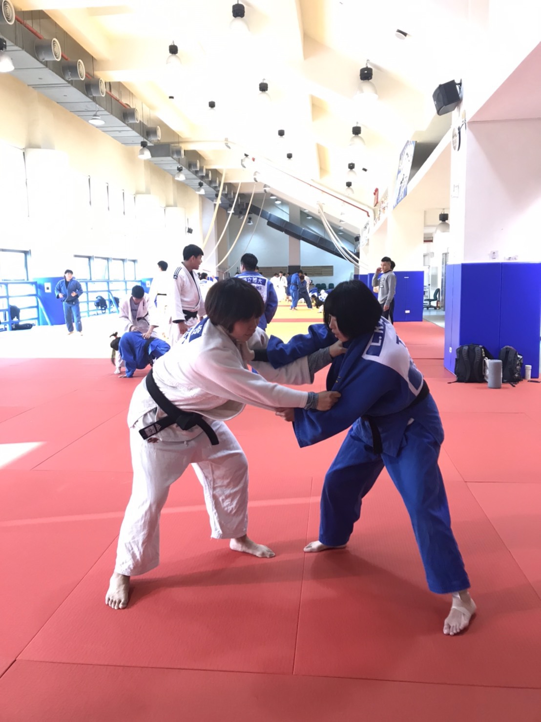 �X�D�V�m��`�]�Ϭ������|�j�ǡ^�C