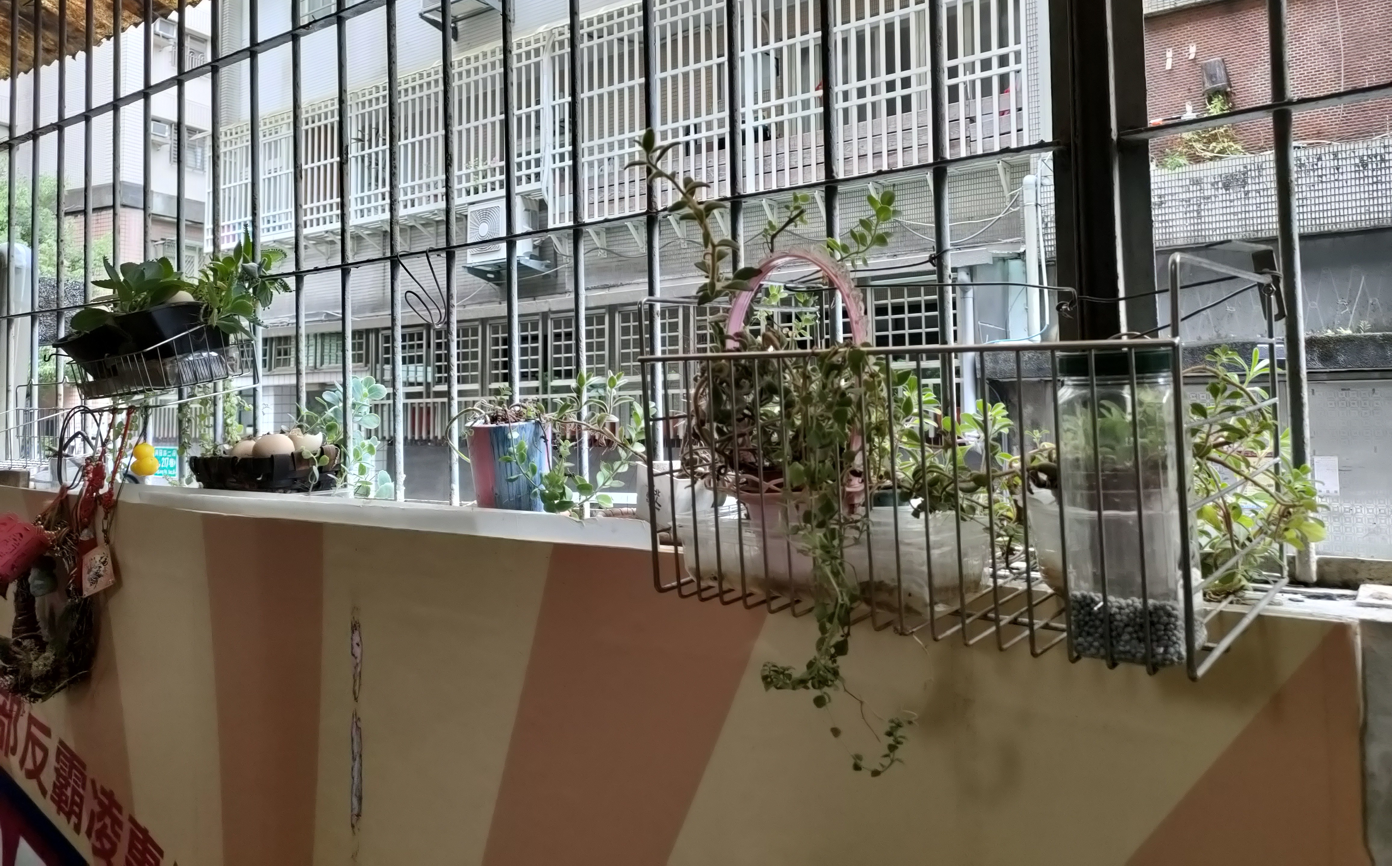 �ǥ~���x�\�����Ӯ�A��o�ͮ�s�M�C